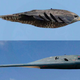 Illustration for article titled This Is Natures B-2 Bomber